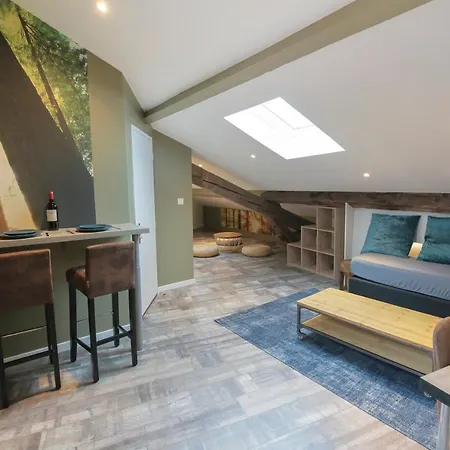 La Foret, T2 Hypercentre Chic Et Cosy, Wifi Par Sovalfi Saint-Etienne  Buitenkant foto